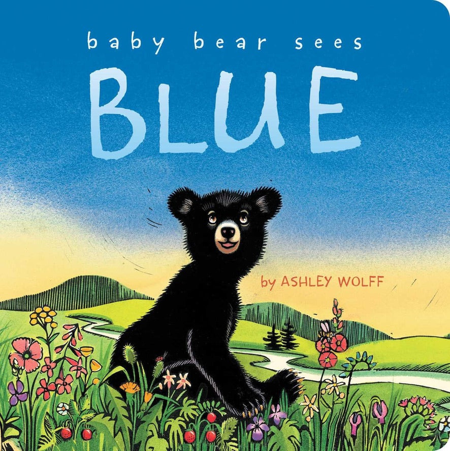 Baby Bear Sees Blue - Book